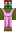 skin of a player
