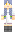 skin of a player