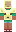 skin of a player