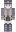 skin of a player