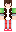 skin of a player