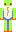 skin of a player
