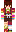 skin of a player