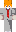 skin of a player