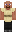skin of a player