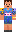 skin of a player