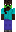 skin of a player