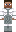 skin of a player
