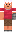 skin of a player