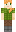 skin of a player
