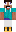 skin of a player