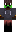 skin of a player