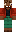 skin of a player