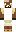 skin of a player