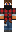 skin of a player