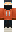 skin of a player