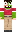 skin of a player