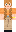 skin of a player