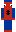 skin of a player