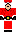 skin of a player