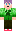 skin of a player