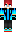 skin of a player