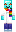 skin of a player