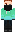 skin of a player