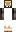 skin of a player