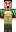 skin of a player