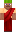 skin of a player