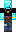 skin of a player