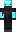 skin of a player