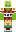 skin of a player