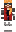 skin of a player
