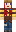 skin of a player