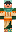skin of a player