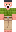 skin of a player