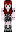 skin of a player