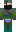 skin of a player