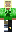 skin of a player