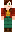 skin of a player