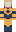skin of a player