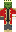 skin of a player