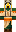 skin of a player
