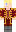 skin of a player