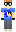 skin of a player