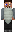skin of a player