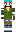 skin of a player