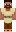 skin of a player